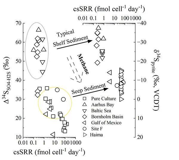 中国海洋大学庄光超教
